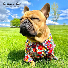 Parisian Pet chemise-chien-fit-relaxe, coupe fluide pour liberté de mouvement