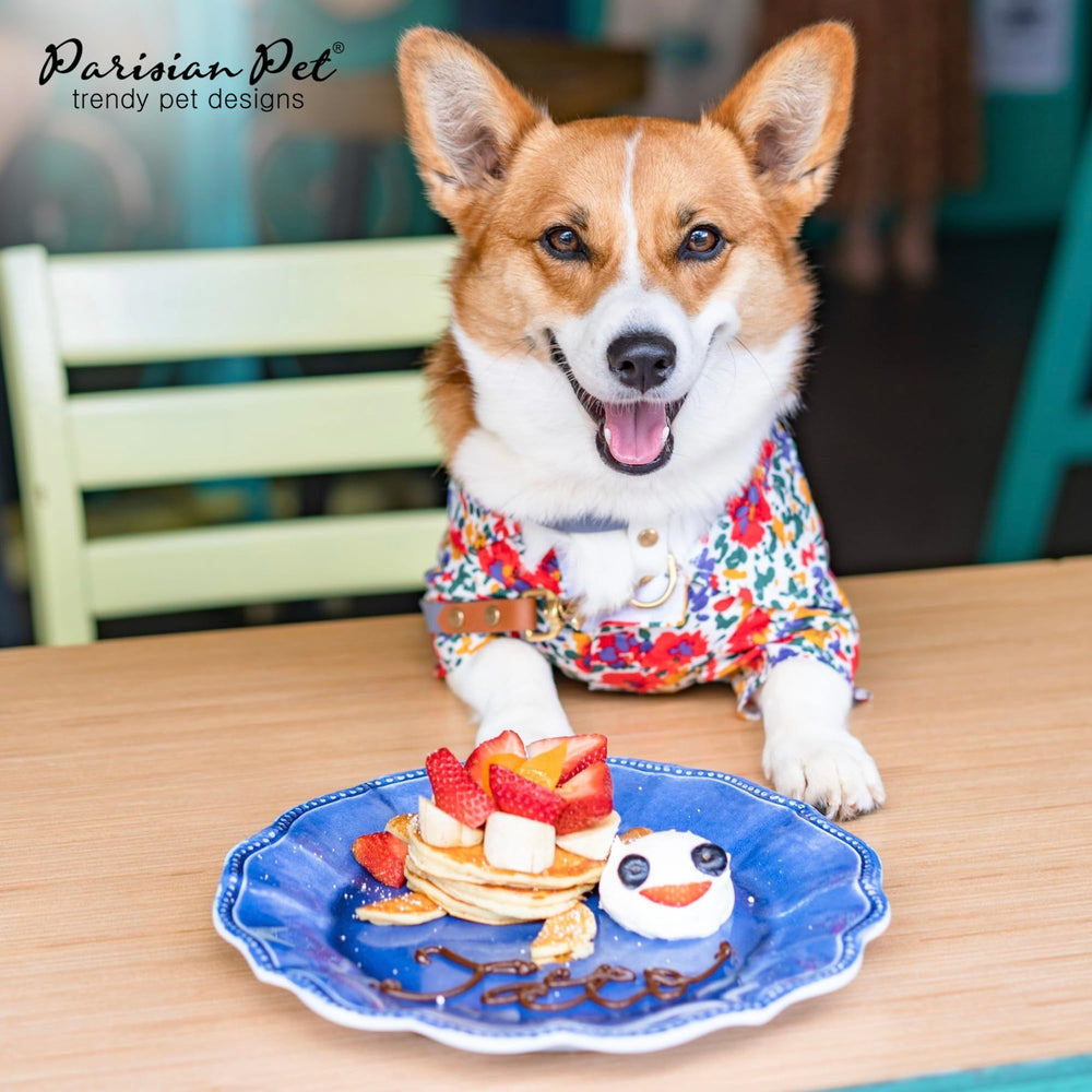 Parisian Pet chemise-chien-plage-ete, idéale pour sorties près du littoral