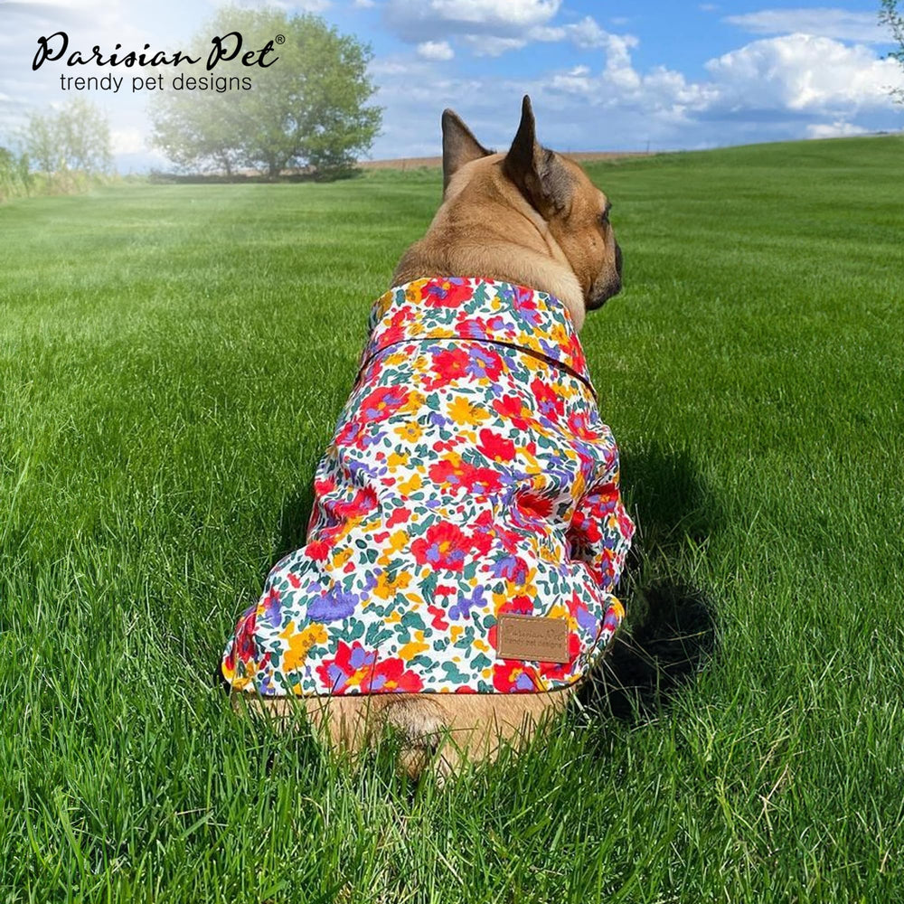 Parisian Pet chemise-chien-taille-xs-3xl, adaptabilité pour toutes morphologies
