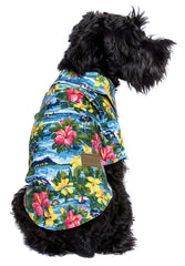 Parisian Pet chemise chien velcro — enfilage rapide et pratique pour balades.