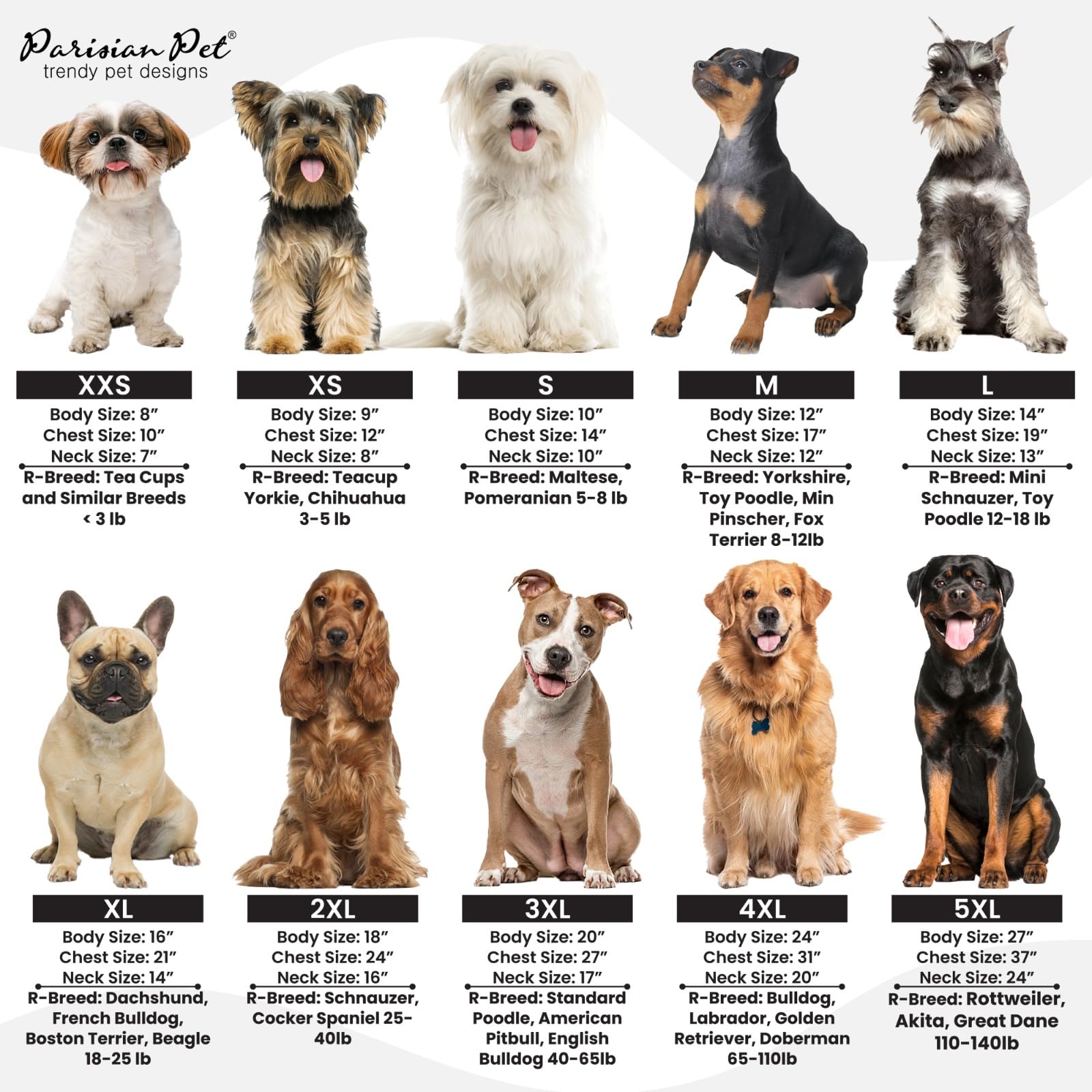 Parisian Pet: cadeau hivernal chic pour chien, parfait pour photos et sorties familiales.