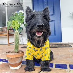 Coupe détendue Parisian Pet, chemise chien fluide et confortable