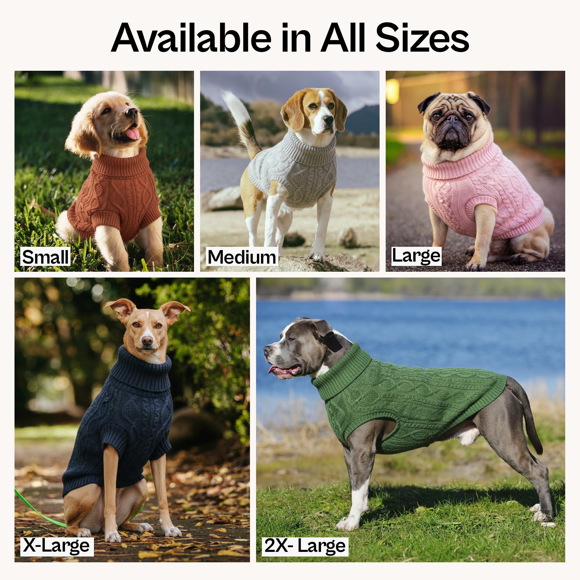 Parisian Pet bordure-velours-dress : finition luxueuse pour événements.
