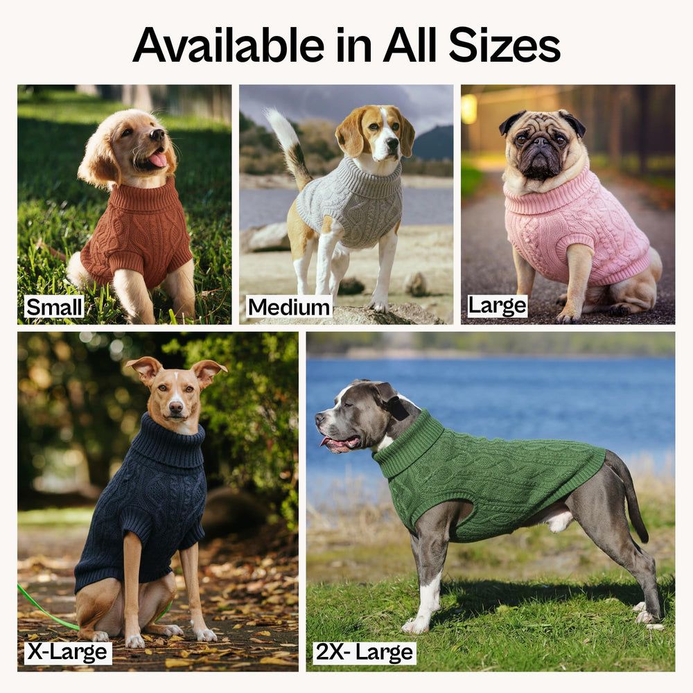 Parisian Pet bordure-velours-dress : finition luxueuse pour événements.