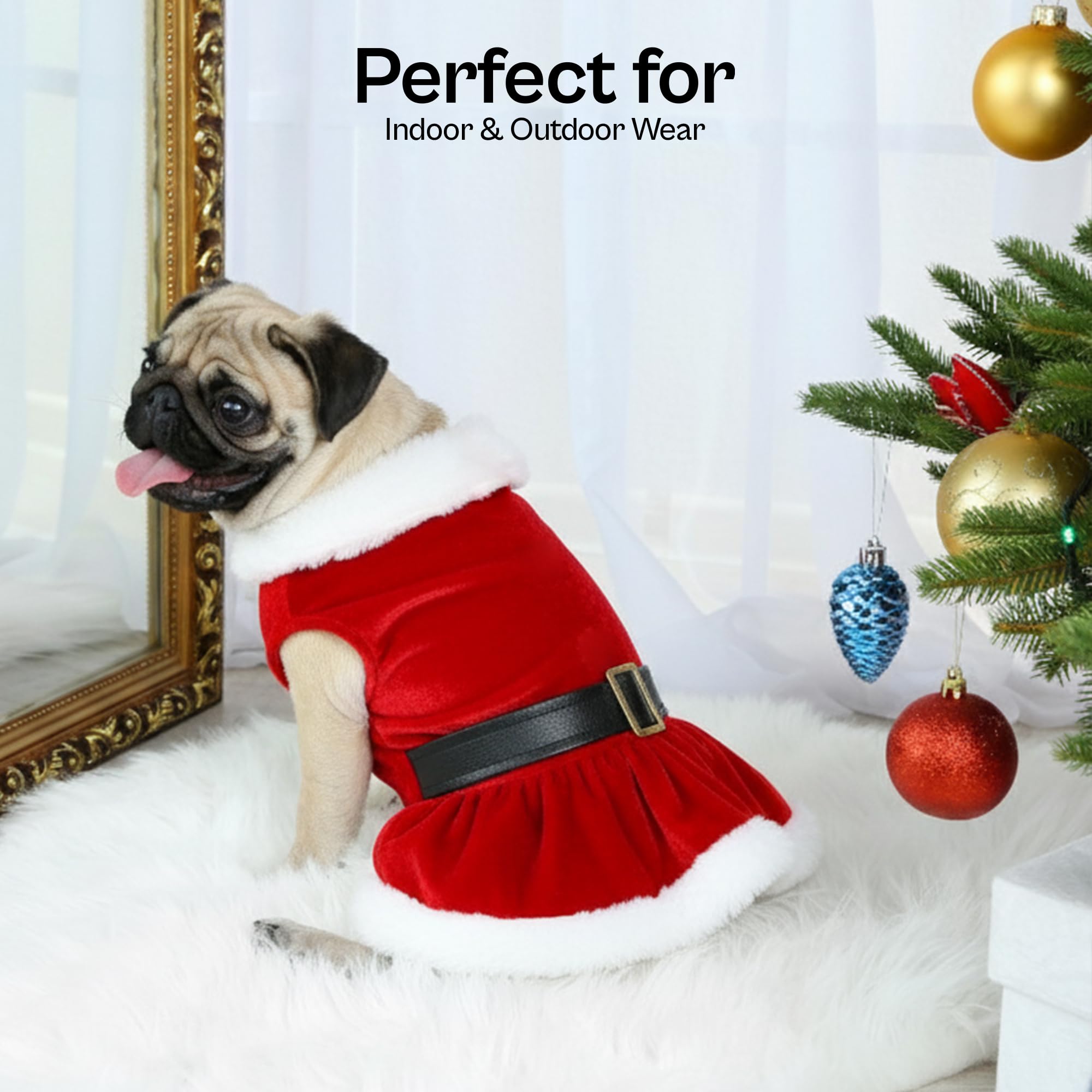 Parisian Pet velours-rouge-dress-chien-petit : douceur et chaleur pour l'hiver.