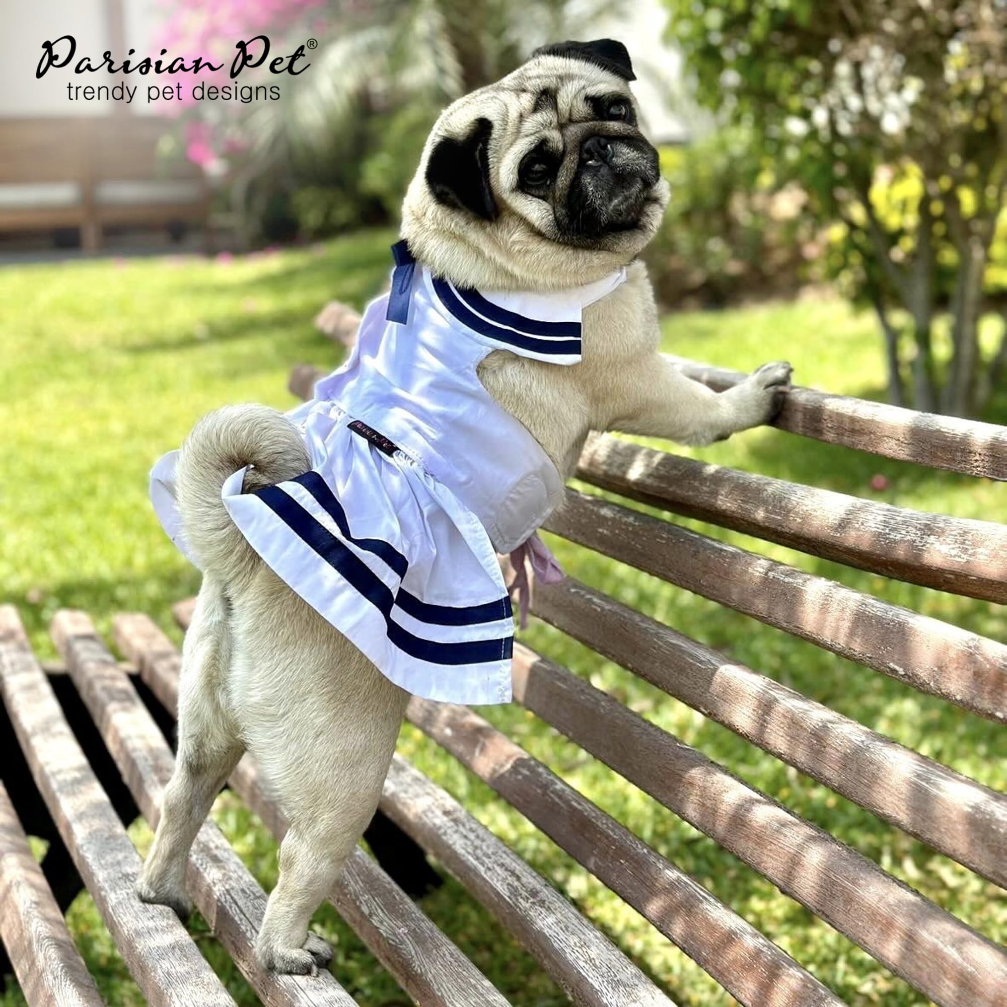 Guide tailles XS à 3XL pour robe nautique Parisian Pet