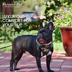Harnais camouflage Parisian Pet rembourrage doux pour un confort quotidien.