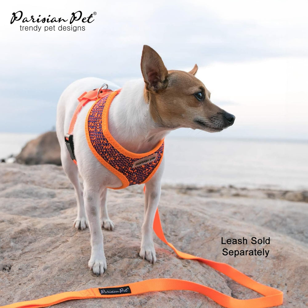 Boucle rapide Parisian Pet – harnais chien facile à mettre et sécurisant.