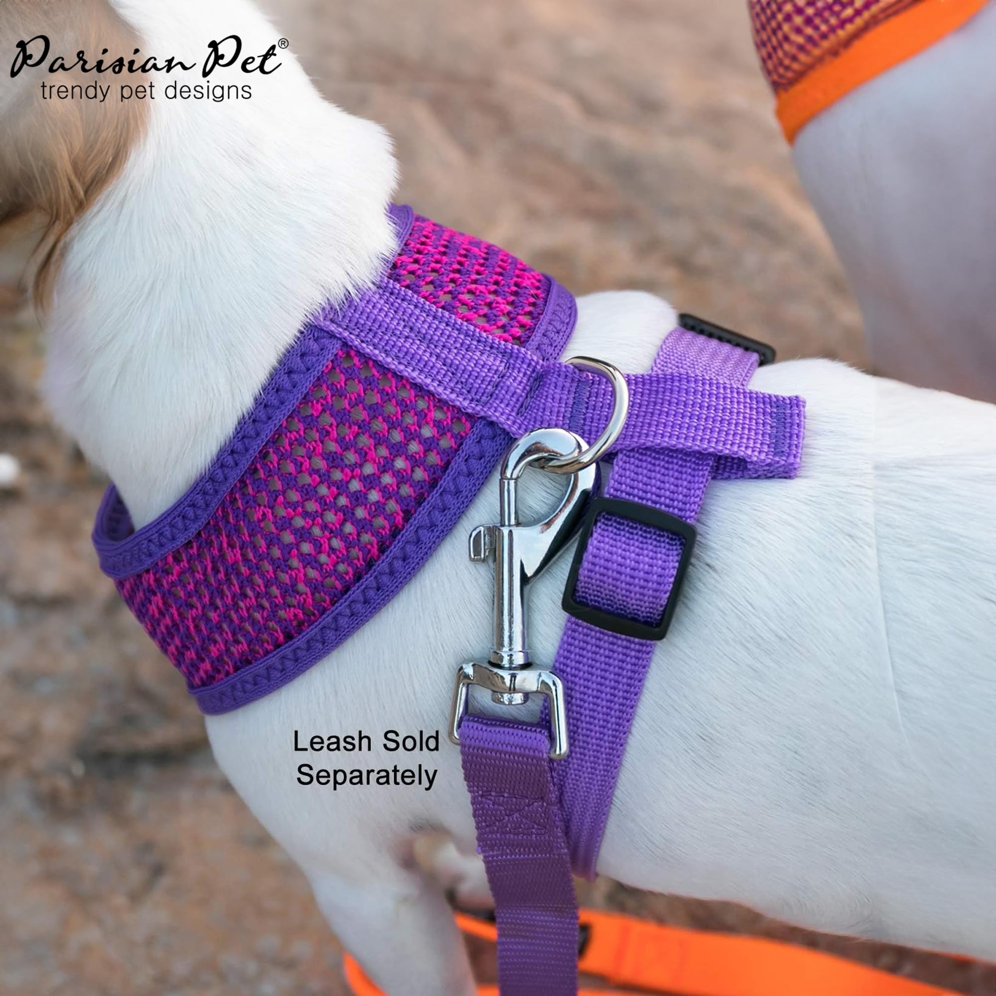 Design facile à enfiler, pratique pour tous les chiens de petite à grande taille.