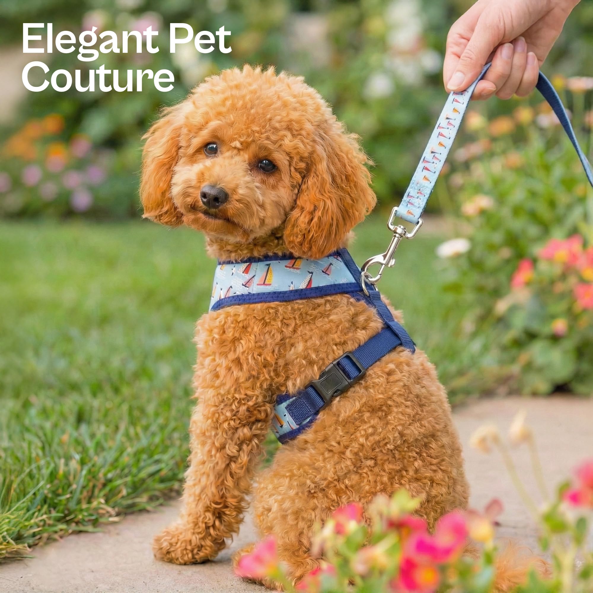 Harnais Parisian Pet confort lors de longues balades estivales.