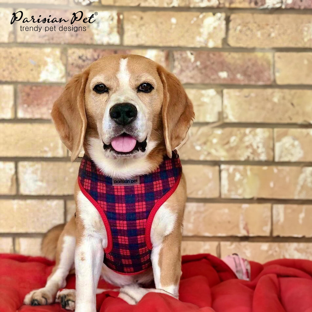 Harnais Parisian Pet plaid rouge avec anneau pour laisse, facile à attacher