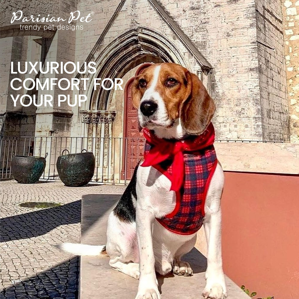 Boucle et anneau Parisian Pet plaid rouge, pour une laisse sécurisée