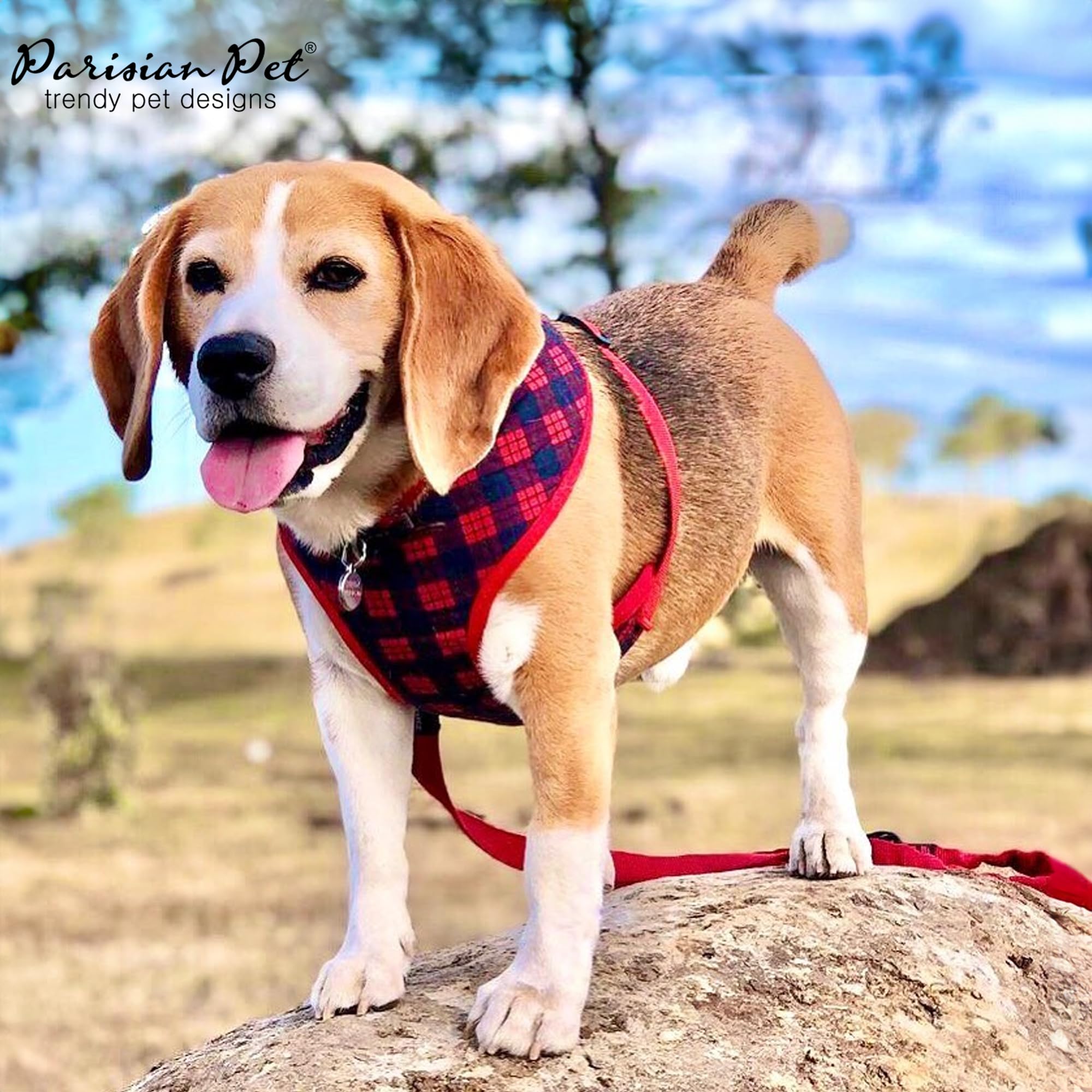 Rembourrage poitrine Parisian Pet plaid rouge, confort lors des promenades