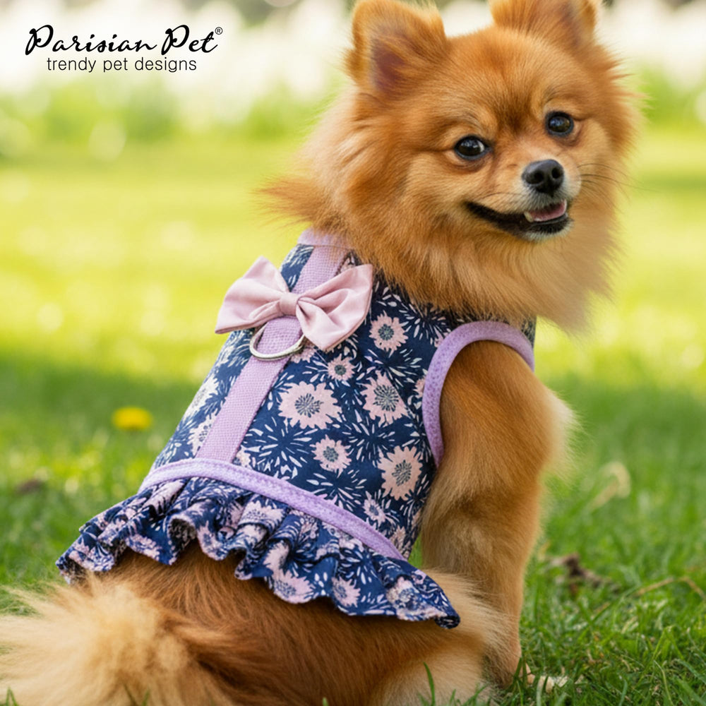 Parisian Pet harnais velcro-reglable-chien, enfilage rapide et ajustement sûr.
