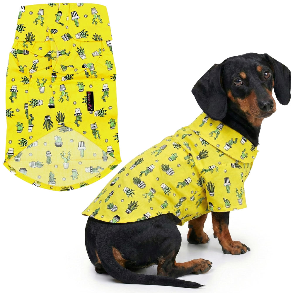 Parisian Pet Cactus Shirt pour chien imprimé cactus sur fond jaune, style estival