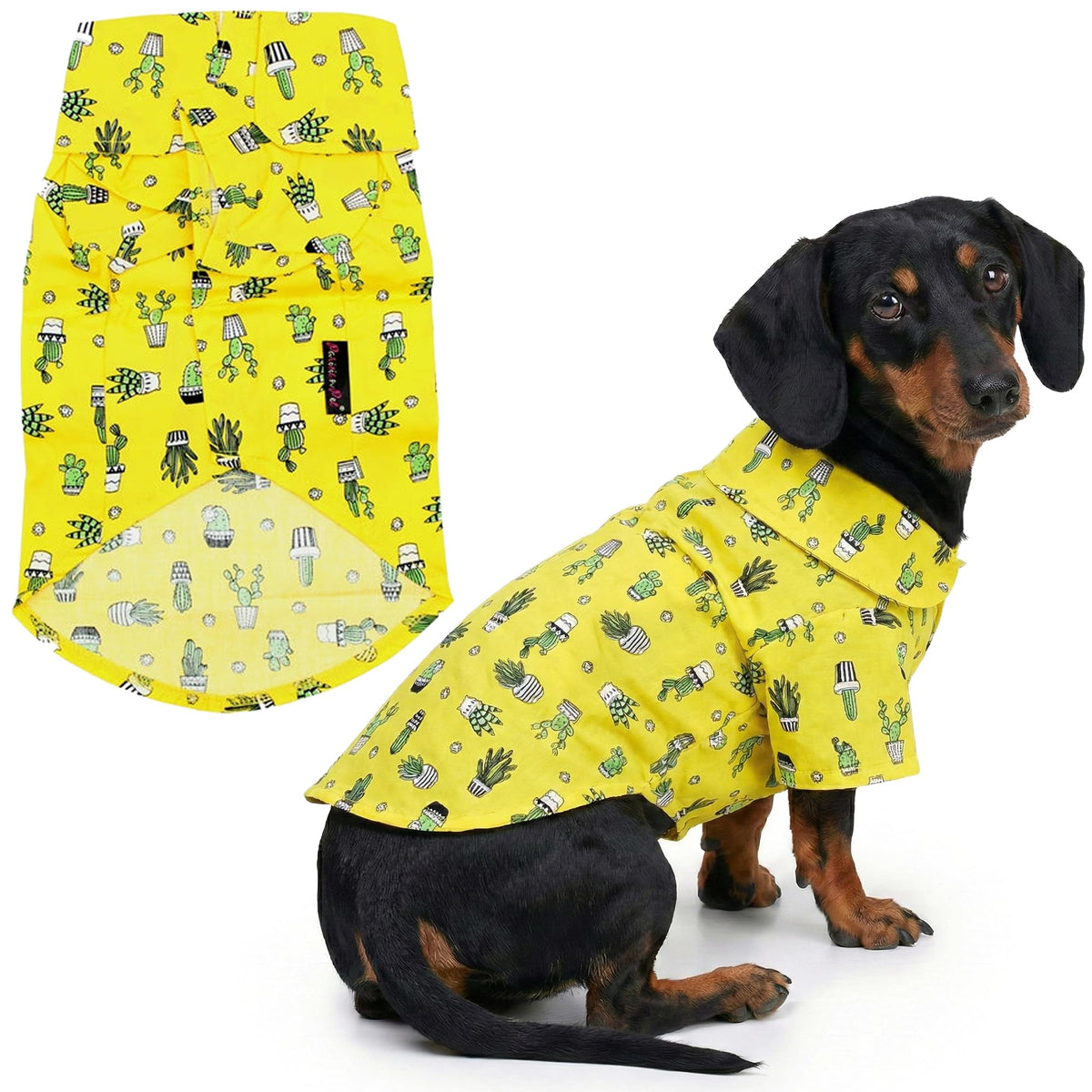 Parisian Pet Cactus Shirt pour chien imprimé cactus sur fond jaune, style estival