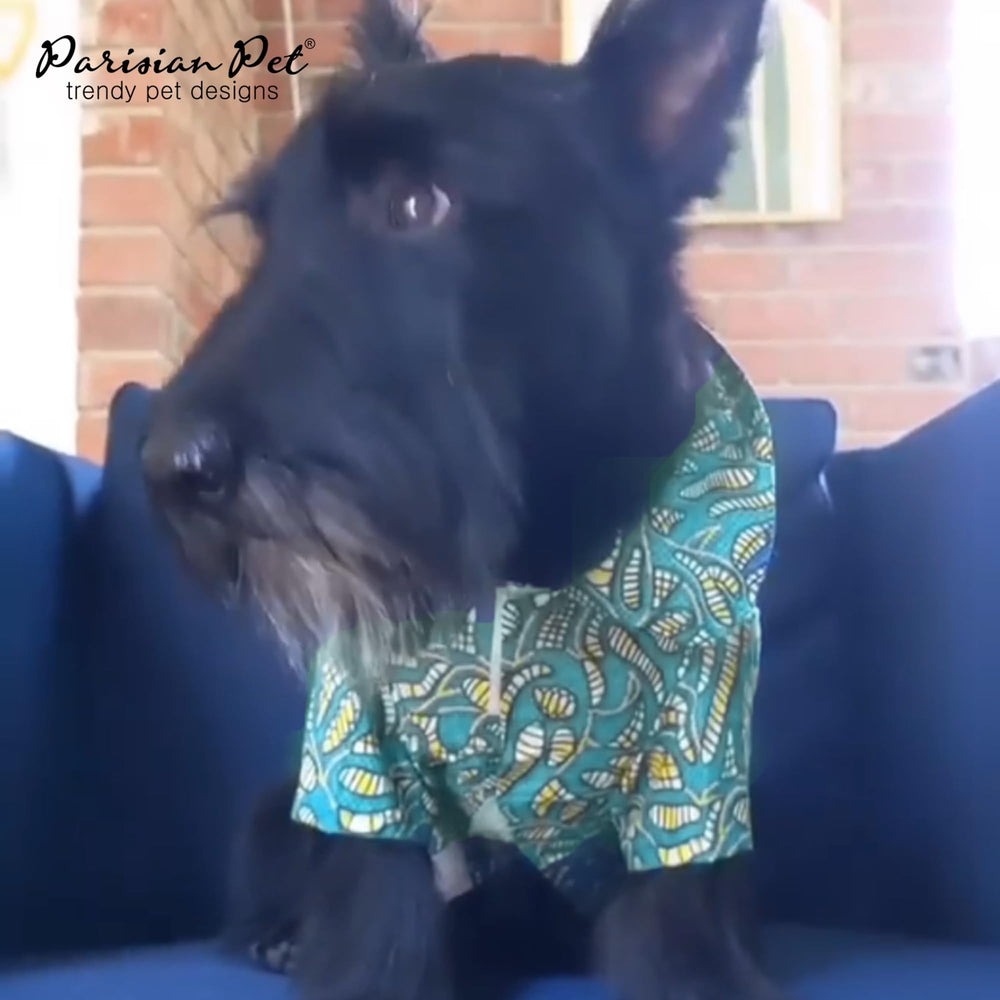 Parisian Pet Imprime-tribal-teal Chien-shirt: effet graphique vibrant pour photos de vacances
