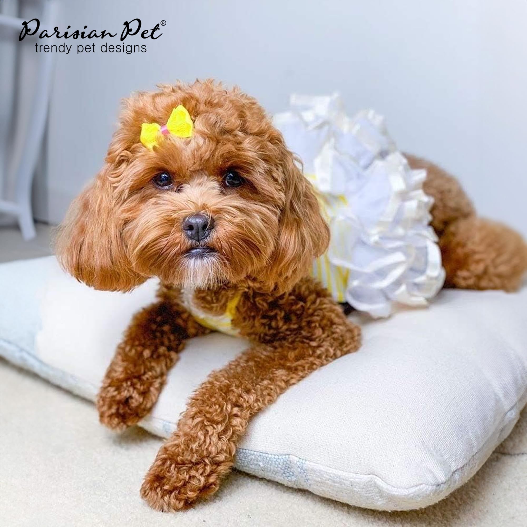 Jupe-tulle douce et confortable Parisian Pet pour chien.