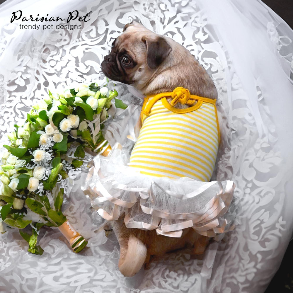 Look estival chic pour plage et fêtes avec Parisian Pet.