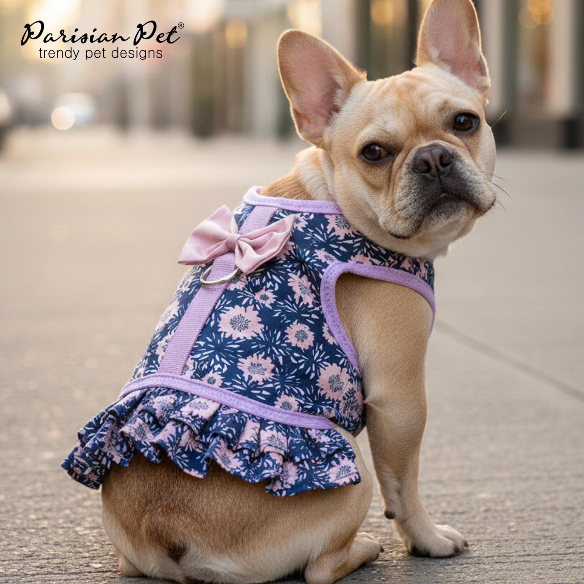 Look pratique et élégant Parisian Pet, idéal pour occasions et everyday wear