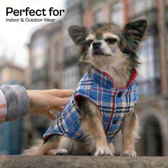 Veste anti-vent Parisian Pet – protection lors des sorties par temps venteux