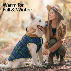 Manteau plaid écossais Parisian Pet, chien hiver, couleur vert clair, allure chic.