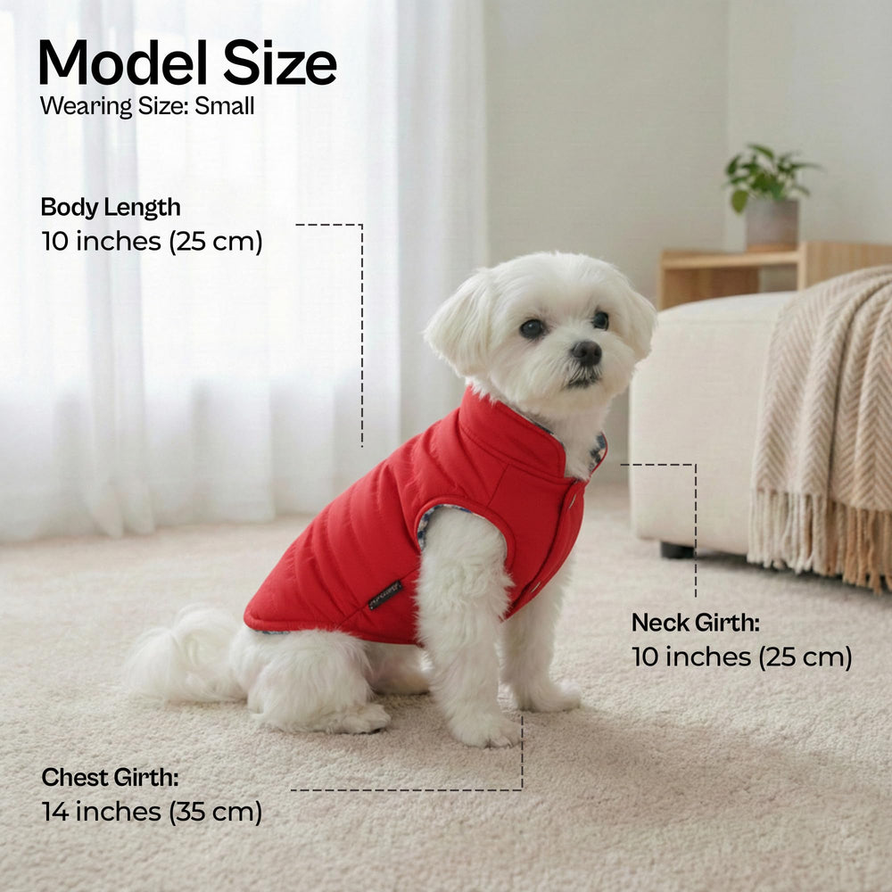 Manteau réversible Parisian Pet face plaid bleu, style chic et pratique