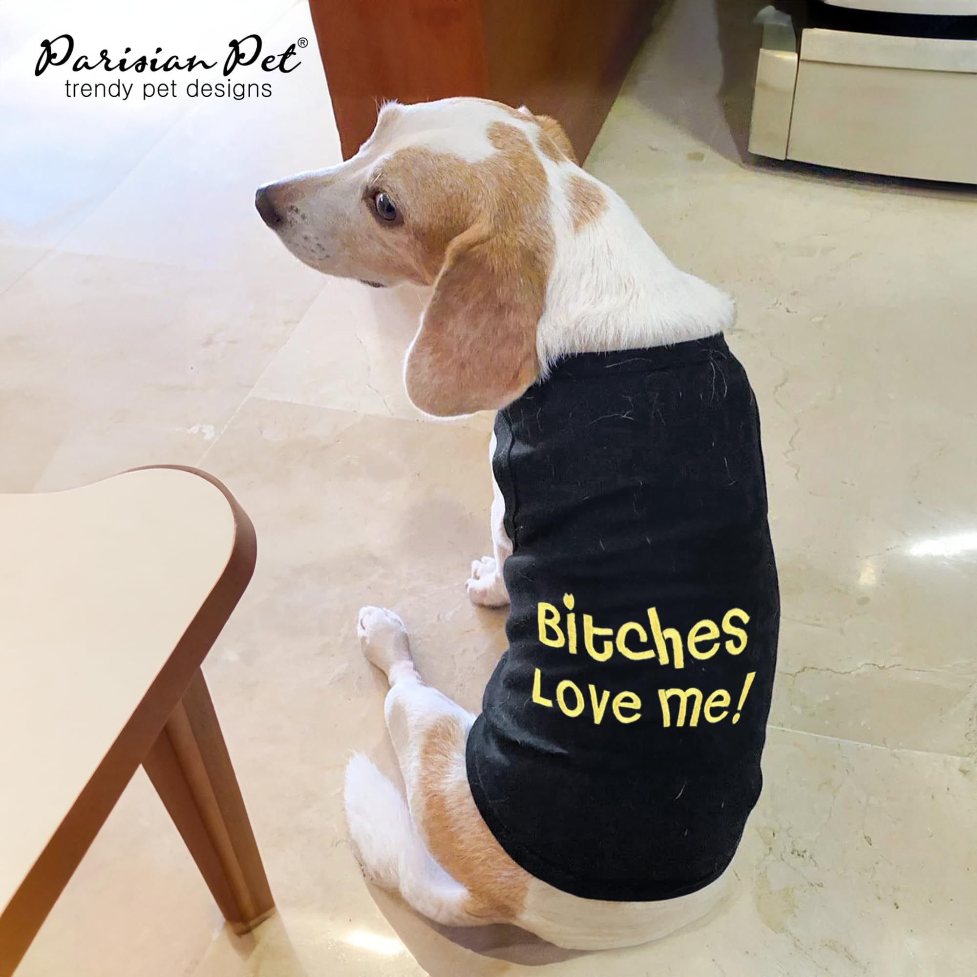 Mode été Parisian Pet, chien respirant et confort assuré lors des promenades.