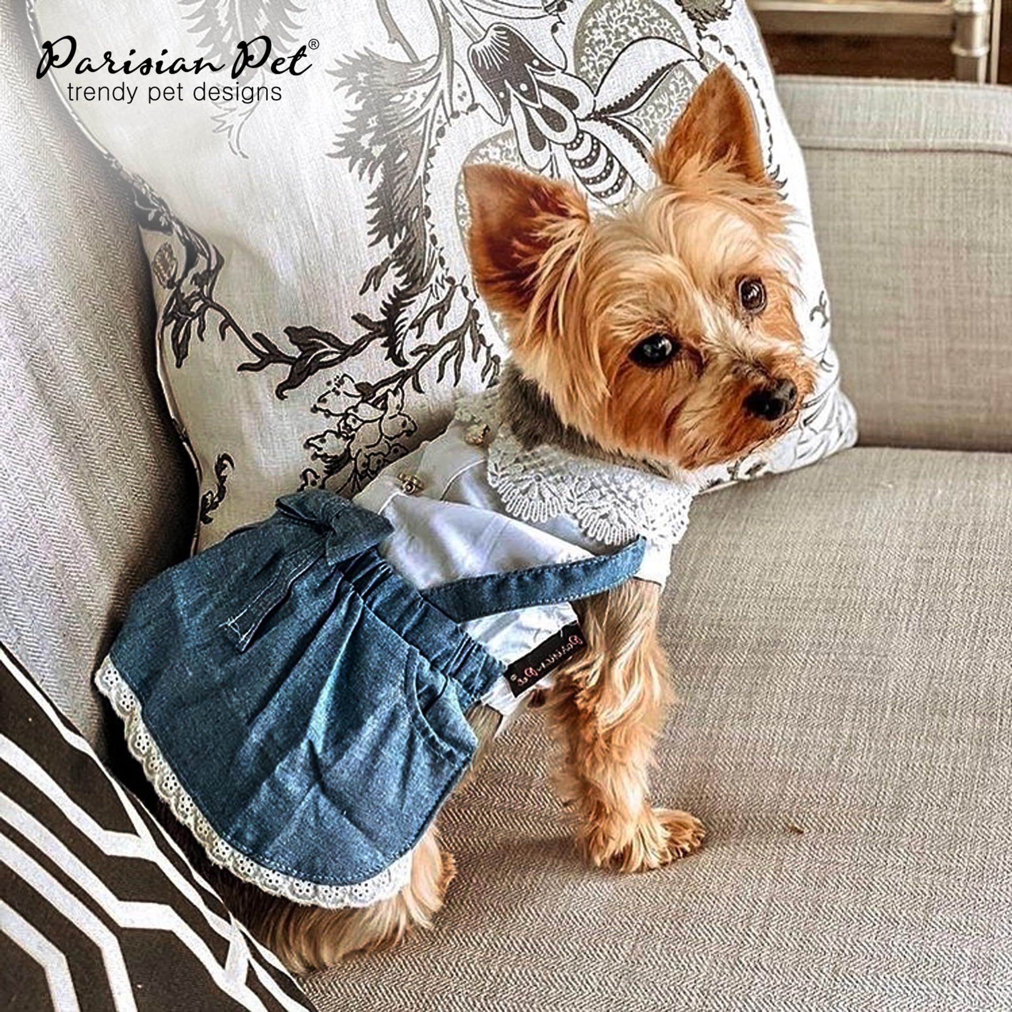 Parisian Pet mode été robe-denim chien, look tendance et pratique.