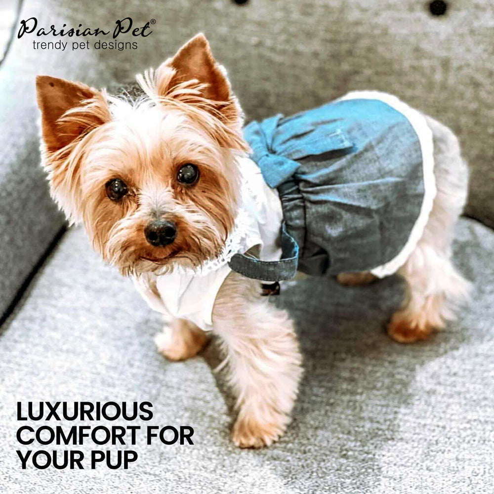 Coupe fluide Parisian Pet, liberté de mouvement idéale pour chiens actifs.