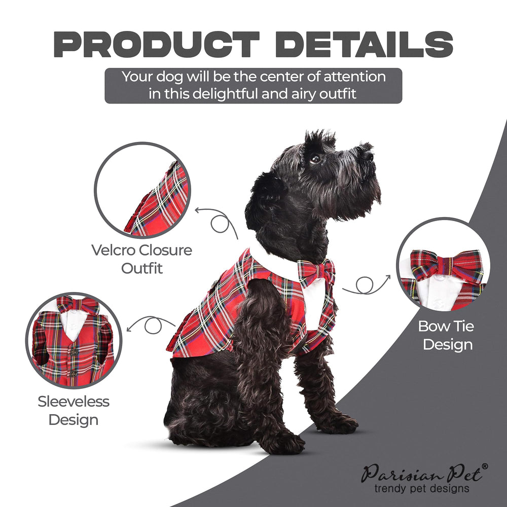 Parisian Pet nœud papillon attaché, look élégant pour événements festifs.
