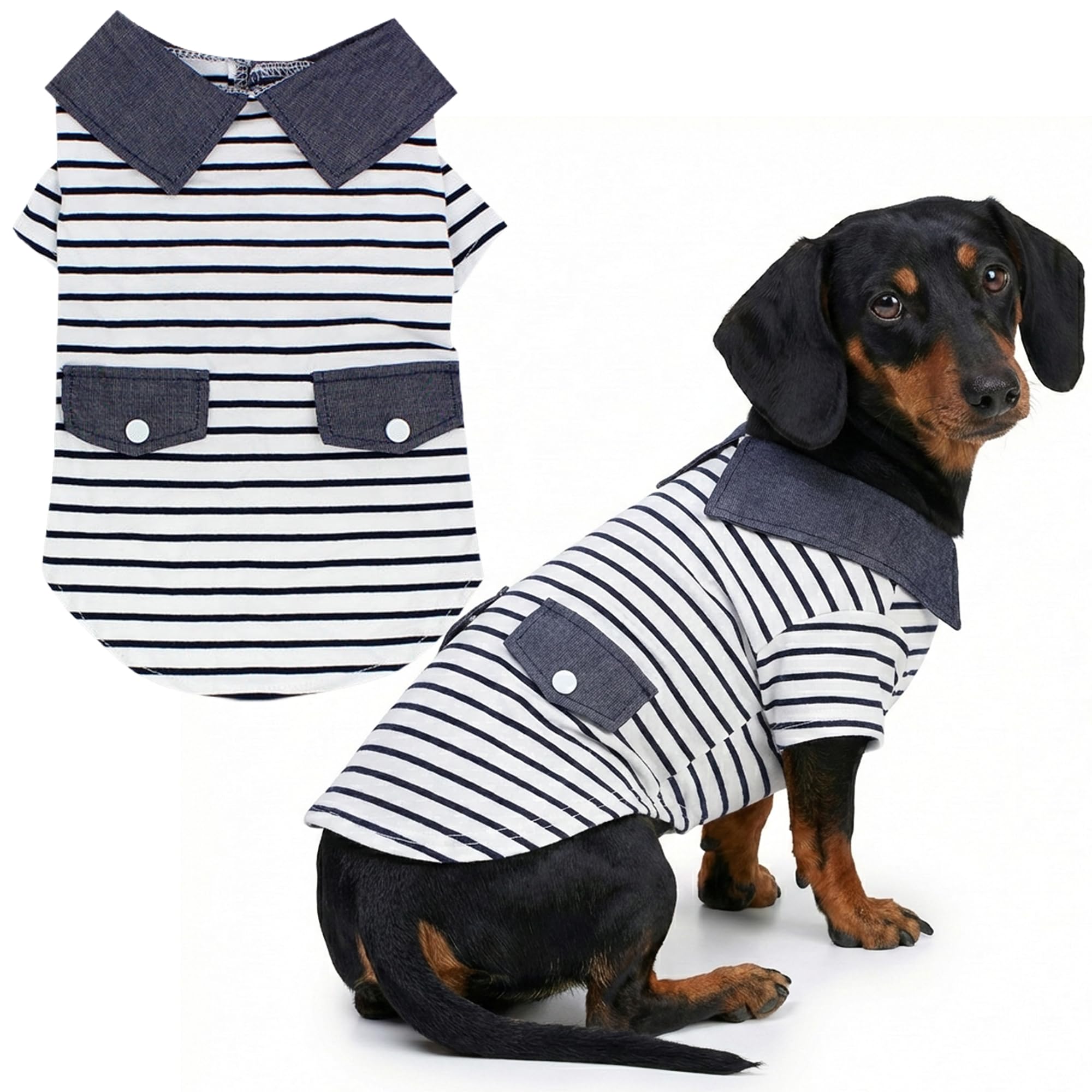 Parisian Pet Preppy Boy Polo: coton doux, confort quotidien pour chien.