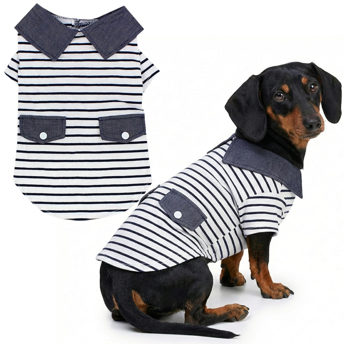 Parisian Pet Preppy Boy Polo: coton doux, confort quotidien pour chien.