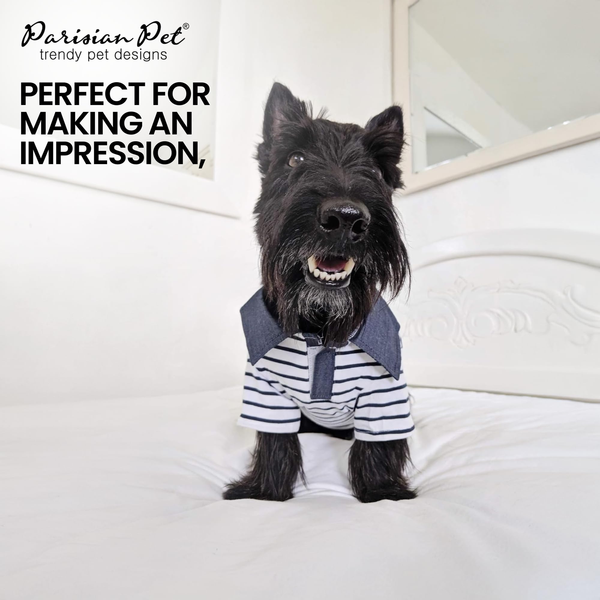 Parisian Pet Preppy Boy Polo: tailles diverses pour s'adapter à chaque chien.