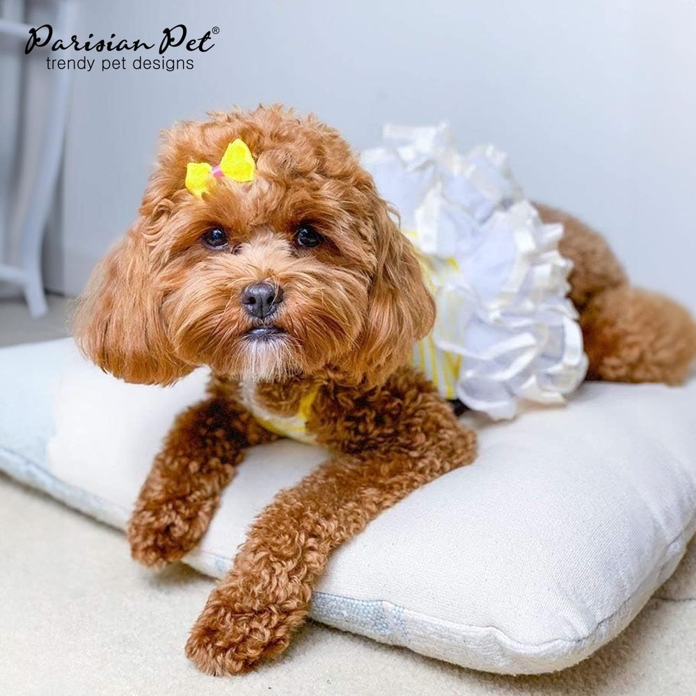 La robe ballerine Parisian Pet pour chien, tulle doux offre allure raffinee.