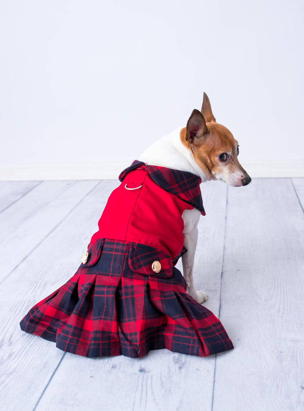 Robe Parisian Pet avec bretelles magiques et fermeture, habillage rapide et pratique