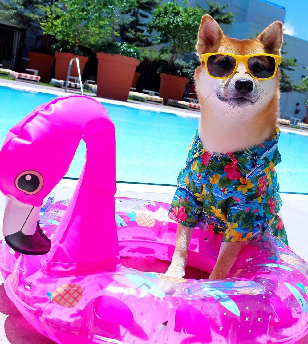 Parisian Pet robe chien confort-relaxation — mouvement libre et confort tout au long de la journée.