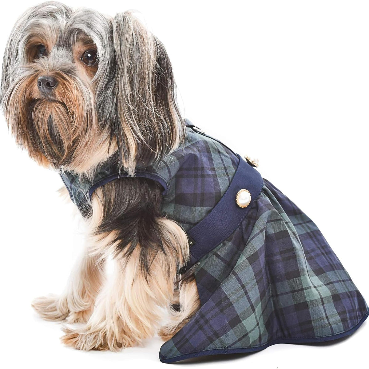 Robe Parisian Pet pour chien écossais, plaid vert, sortie élégante recommandée.