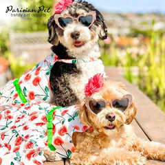Robe Parisian Pet jupe fluide, laisse votre chien bouger librement.