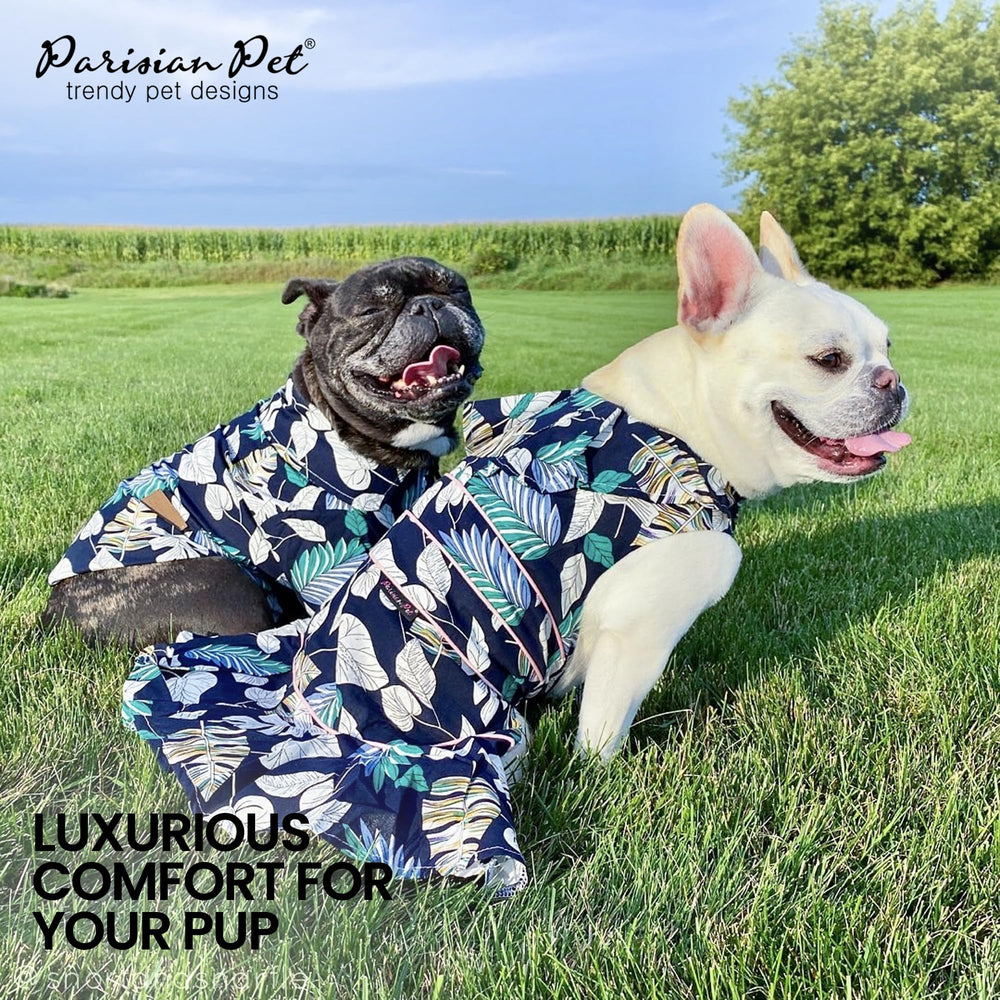 Robe Parisian Pet, disponible de XS à 3XL pour toutes les morphologies.