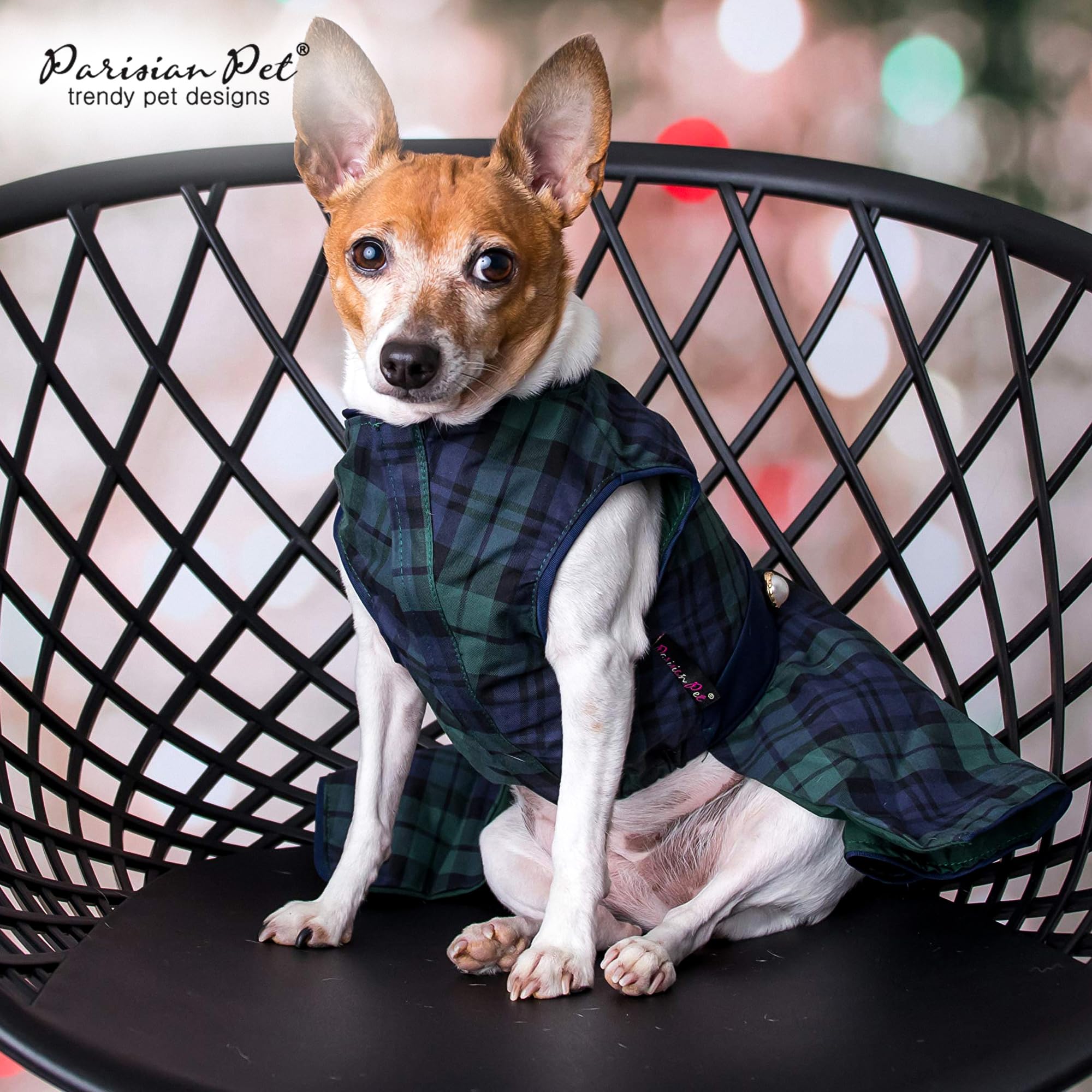 Tailles S à 2XL pour Parisian Pet, plaid vert, ajustement inclus.