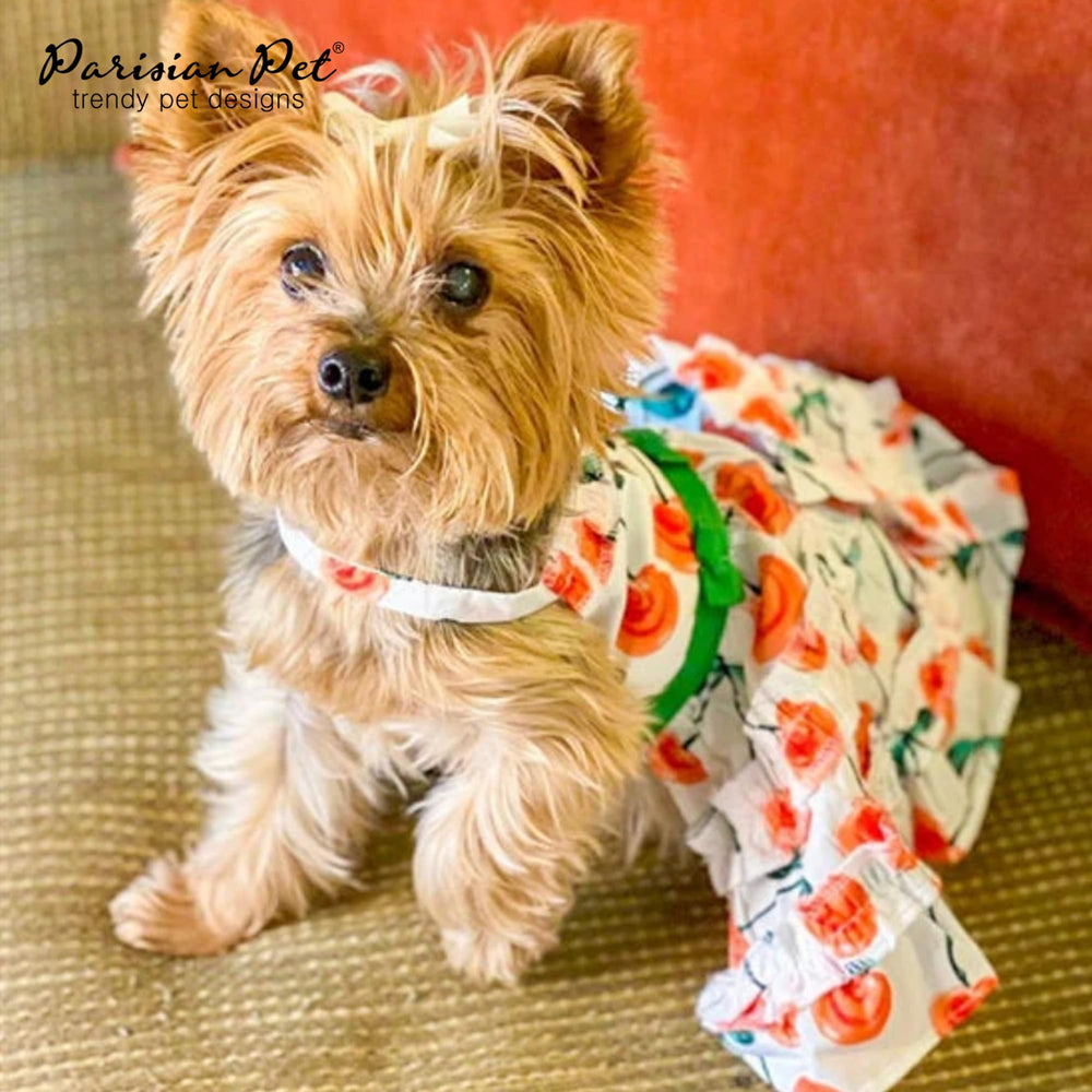 Robe Parisian Pet: tailles XS à 3XL pour un large éventail de chiens.
