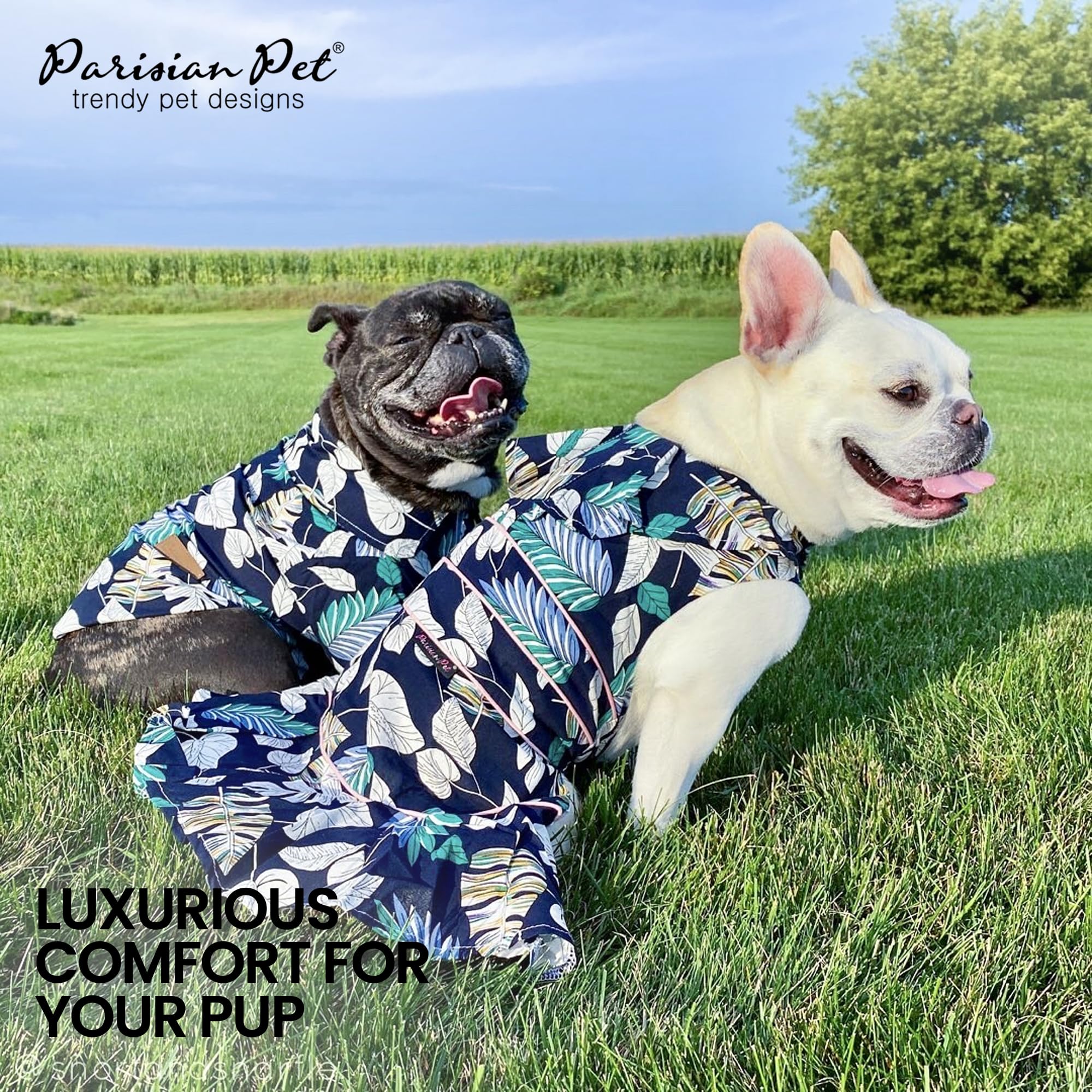 Robe Parisian Pet en coton léger, respiration naturelle pour promenades.
