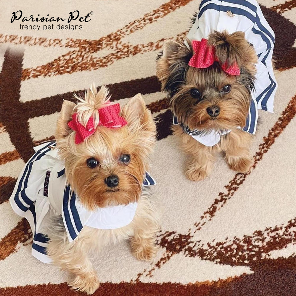 Robe Parisian Pet sangles Velcro magiques pour enfiler rapidement sans effort.