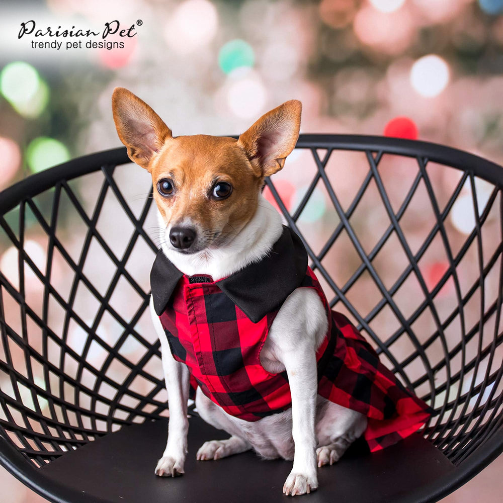 Robe Parisian Pet, coupe détendue adaptée aux grandes tailles.