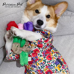 Robe Parisian Pet coupe relax qui suit les mouvements du chien.