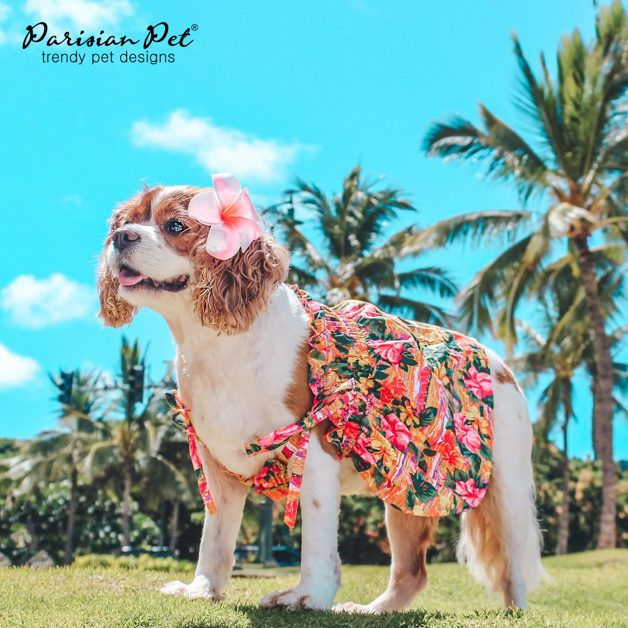 Robe hawaïenne Parisian Pet jupe fluide offrant liberté de mouvement.