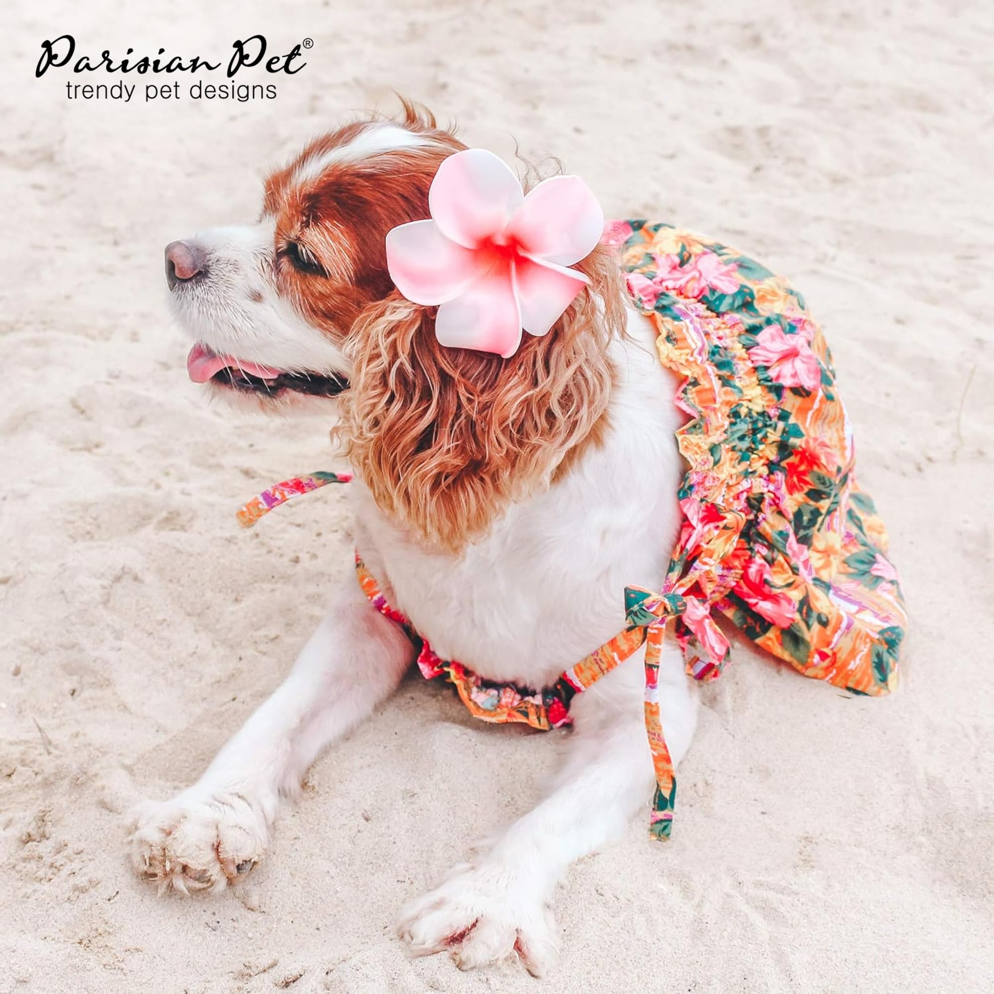 Robe légère Parisian Pet pour promenades estivales et sorties plage.