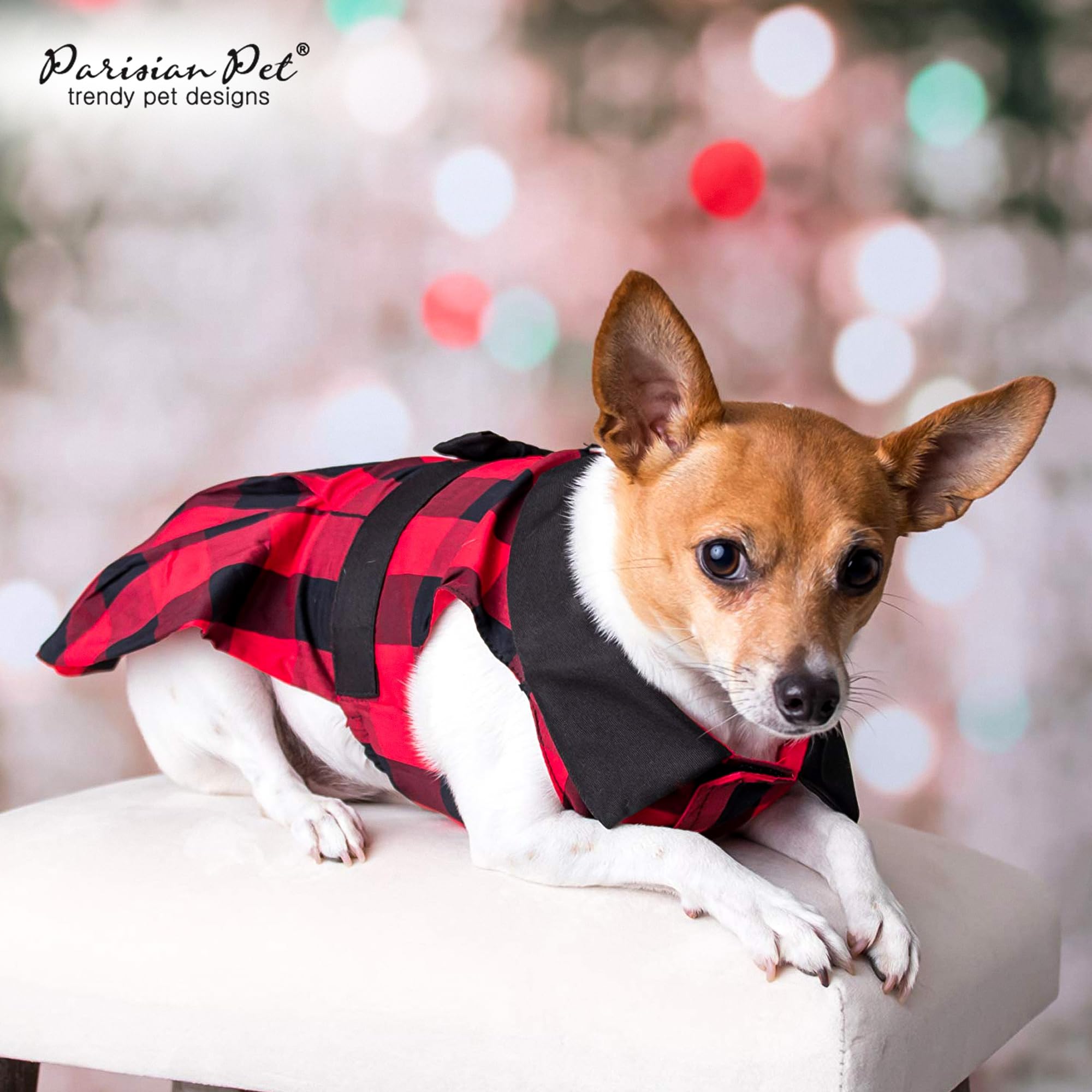 Look festif pour mariage canin avec la robe Parisian Pet.