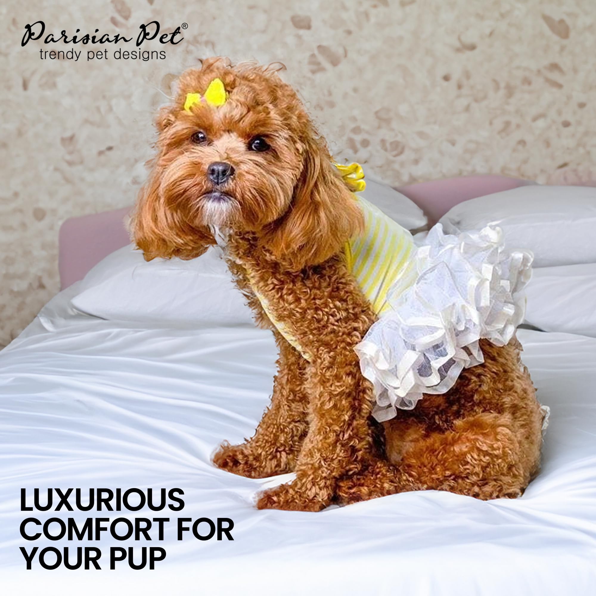 La robe mariage Parisian Pet pour chien speciale pour occasions specifiques.